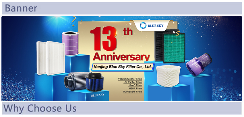 ¿Por qué elegirnos de Steam Mop personalizado?