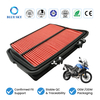Filtro de aire para motocicleta T2200557 apto para Tigers 800 XC XCX XR XRX 2010-2019 personalizado disponible