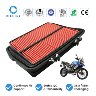 Filtro de aire para motocicleta T2200557 apto para Tigers 800 XC XCX XR XRX 2010-2019 personalizado disponible