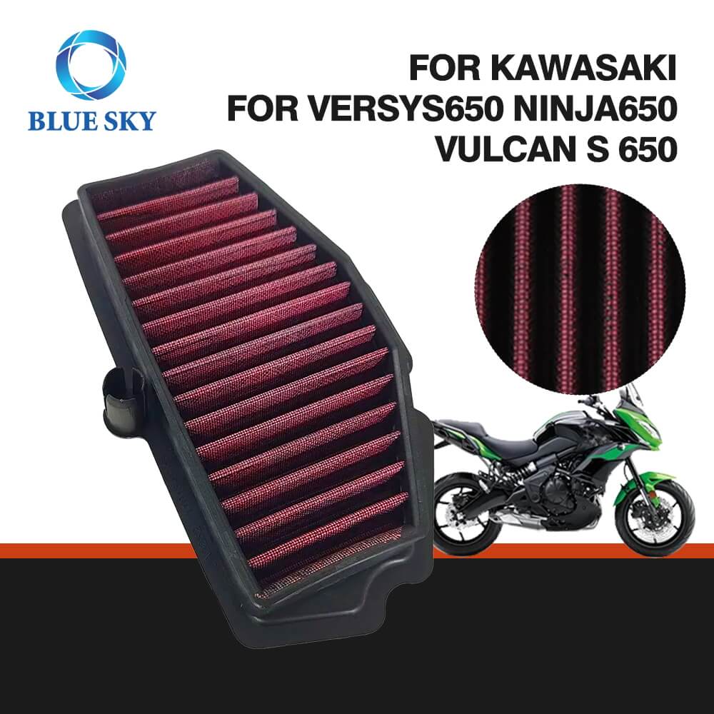 AF094 Filtro de aire de motocicleta para Kawasaki Versys 650 ABS 2015-2019 / EX650 Ninja 650 2017-2020 / EX650 Ninja 650 ABS 2017-2020