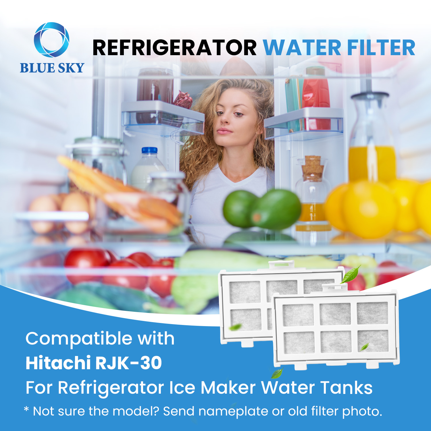 Filtro de agua para máquina de hielo RJK-30 compatible con palabras clave Hitachis personalizadas disponibles