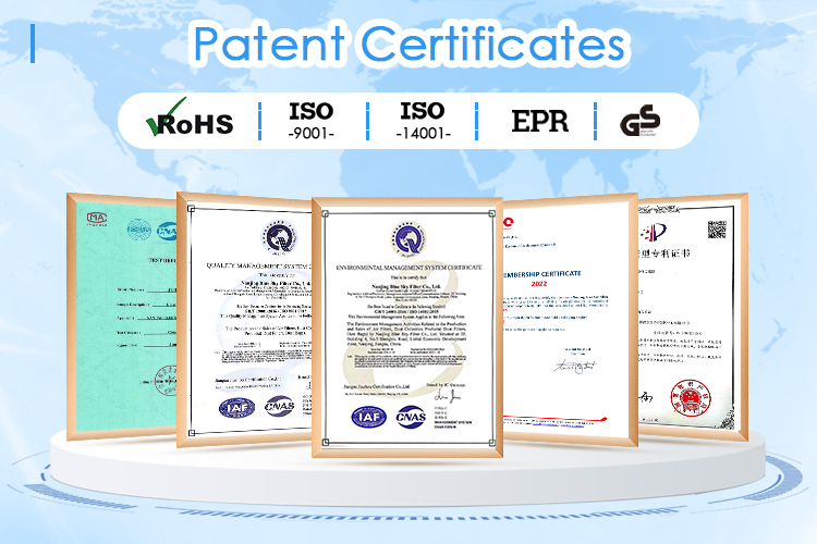 Acerca de nuestro certificado Nanjing Blue Sky Filter Co., Ltd.