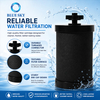 Reemplazo de filtro de agua de carbón activado 2387 Pro Compatible con el sistema de filtración de agua alimentado por gravedad Alexapures Pro