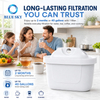 Cartucho de repuesto para jarra de filtro de agua 1001122, compatible con Maveas Maxtra / Maxtra+