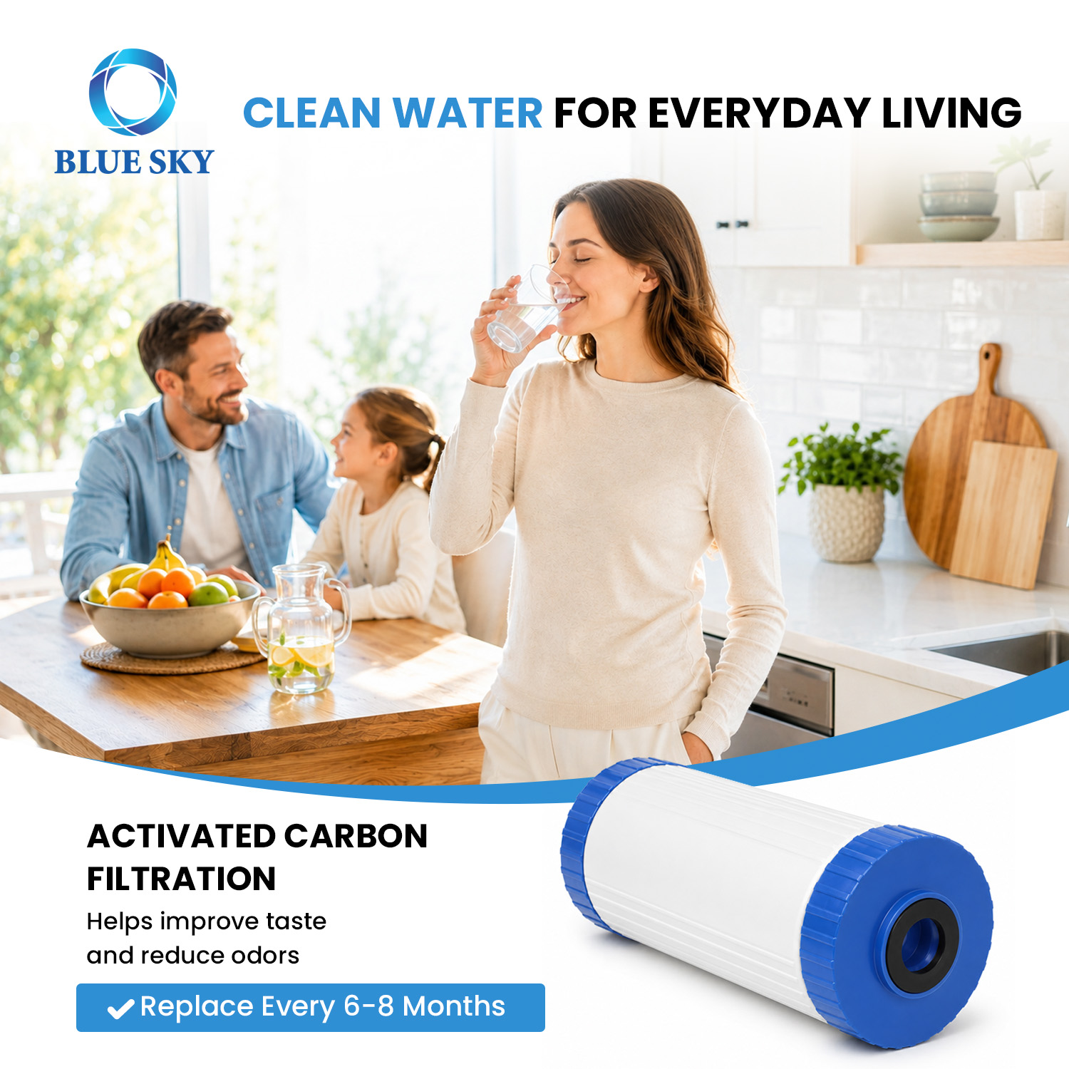 Cartucho de filtro de agua recargable para toda la casa, 4,5 x 10, compatible con carcasa Big Blue