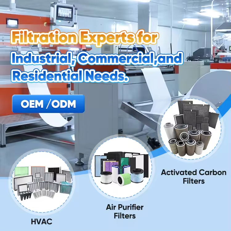 Filtros deshumidificadores industriales y comerciales personalizados - Reemplazo OEM hecho a medida - Proveedor confiable de filtros de China Blue Sky Filter
