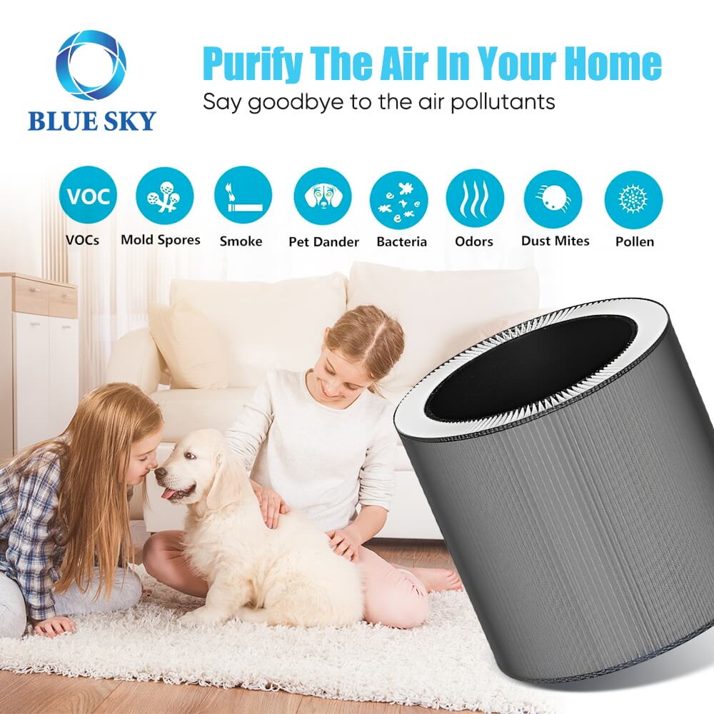 Filtro de repuesto C610 Z para purificador de aire Winix - Proveedor OEM de carbón activado HEPA