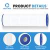Juego de cartuchos de filtro de piscina CCP420 aptos para Pentairs Clean & Clear Plus 420 R173576 PCC105 FC-1977