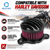 Kit de filtro de aire compatible con Harleys-Davidsons Sportster XL883 XL1200