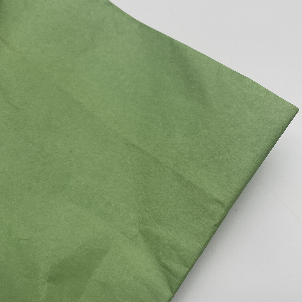 Filtro de bolsa de papel verde de repuesto para bolsas de aspiradora ProTeam 107374