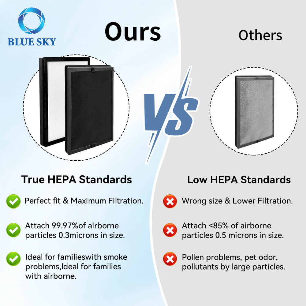 Filtro de repuesto de carbón activado HEPA HAP602 para purificadores de aire ECOSELF: eliminación de olores y partículas de alta eficiencia